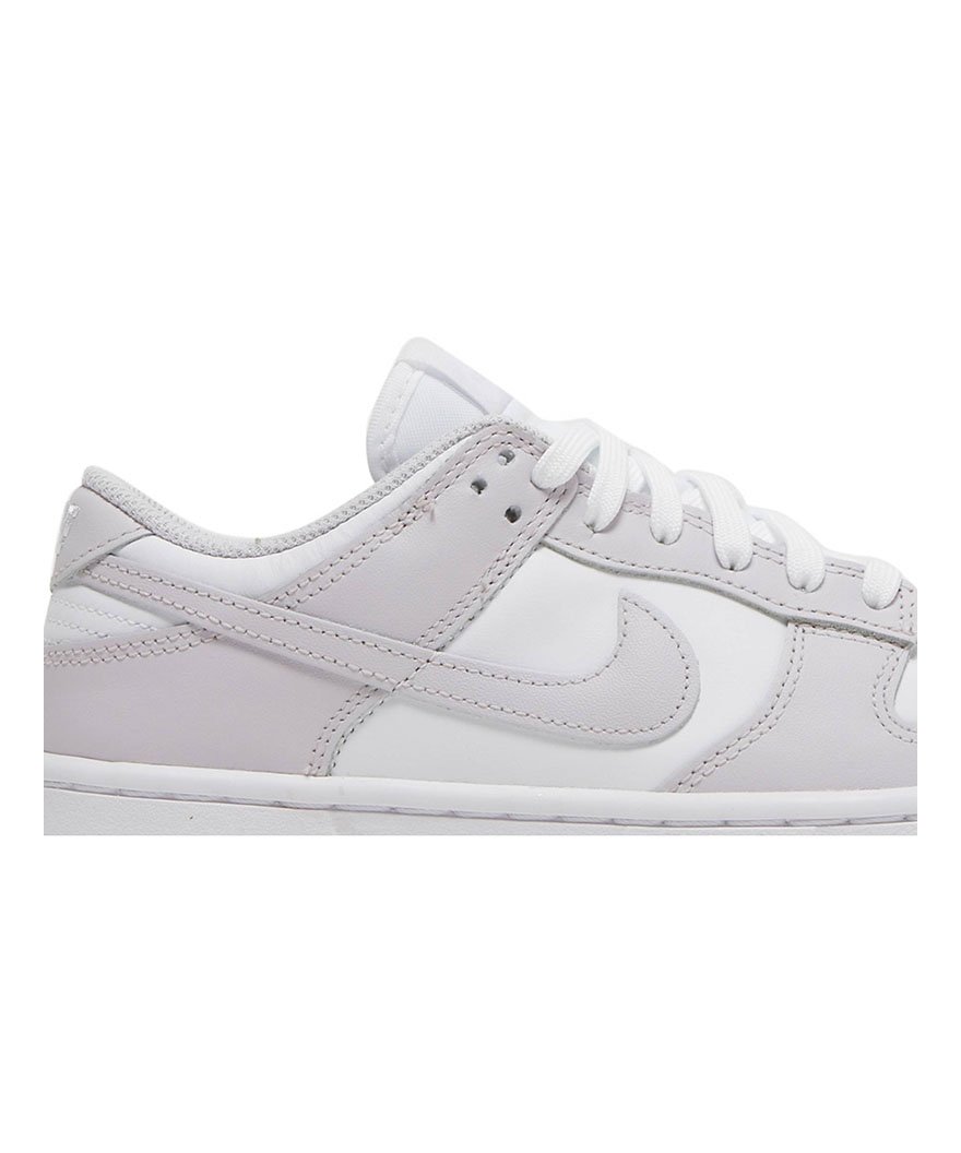 Dunk Low Venice,SB DUNK LOW,SB DUNK,NIKE SHOES