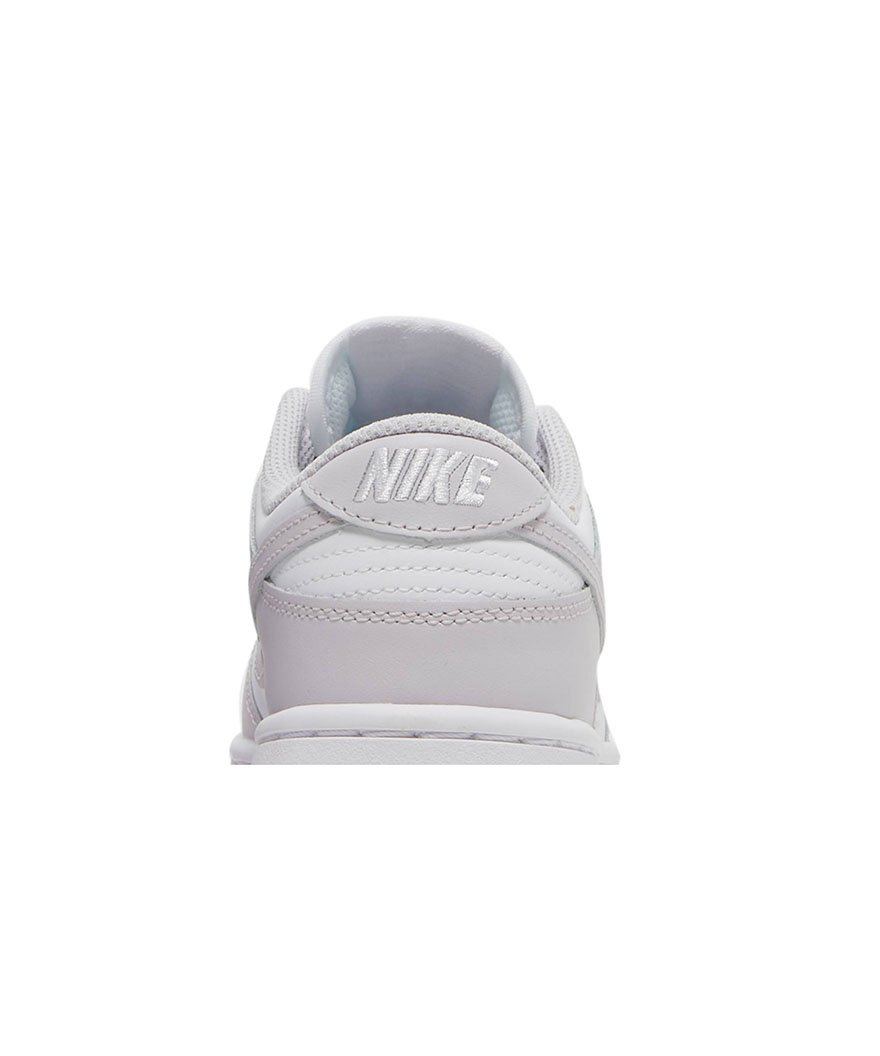 Dunk Low Venice,SB DUNK LOW,SB DUNK,NIKE SHOES