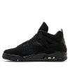 Air Jordan 4 Retro Black Cat 2025,Air Jordan 4,AIR JORDAN