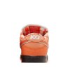 Concepts X Dunk Low Sb Orange Lobster,SB DUNK LOW,SB DUNK,NIKE SHOES