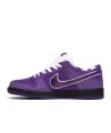 Concepts X Dunk Low Sb Purple Lobster,SB DUNK LOW,SB DUNK,NIKE SHOES