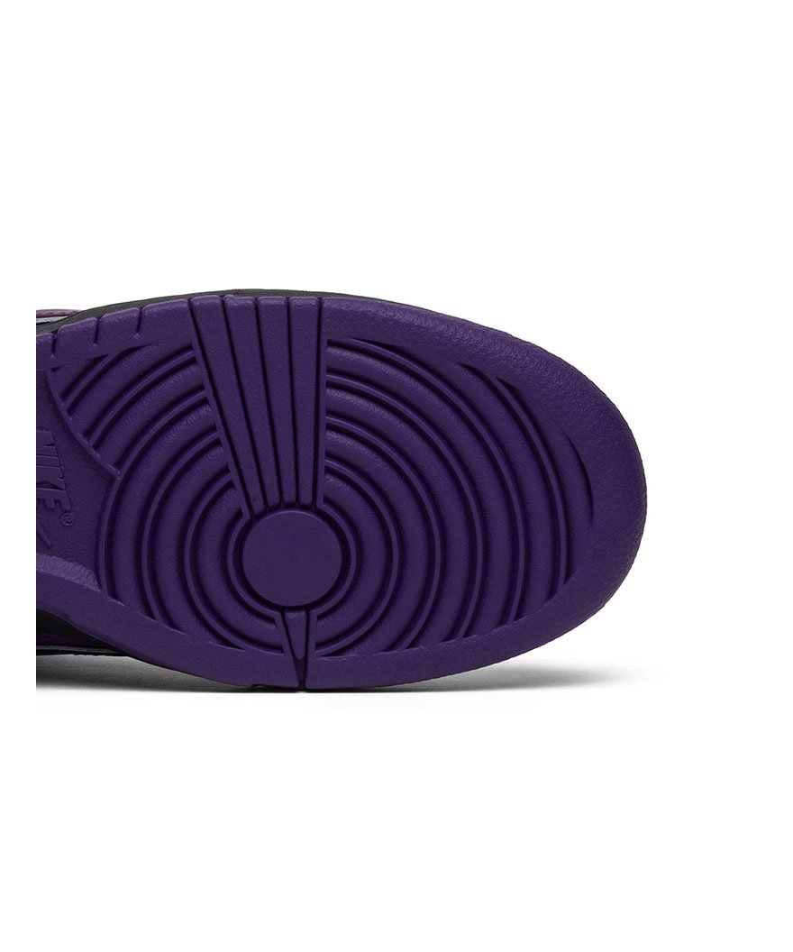 Concepts X Dunk Low Sb Purple Lobster,SB DUNK LOW,SB DUNK,NIKE SHOES