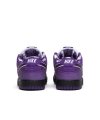 Concepts X Dunk Low Sb Purple Lobster,SB DUNK LOW,SB DUNK,NIKE SHOES