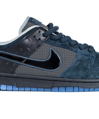 Dunk Low ¡®What The Duck University Of Oregon Alternate¡¯ Pe,SB DUNK LOW,SB DUNK,NIKE SHOES