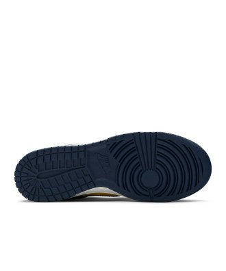 Dunk Low Michigan 2021,SB DUNK LOW,SB DUNK,NIKE SHOES