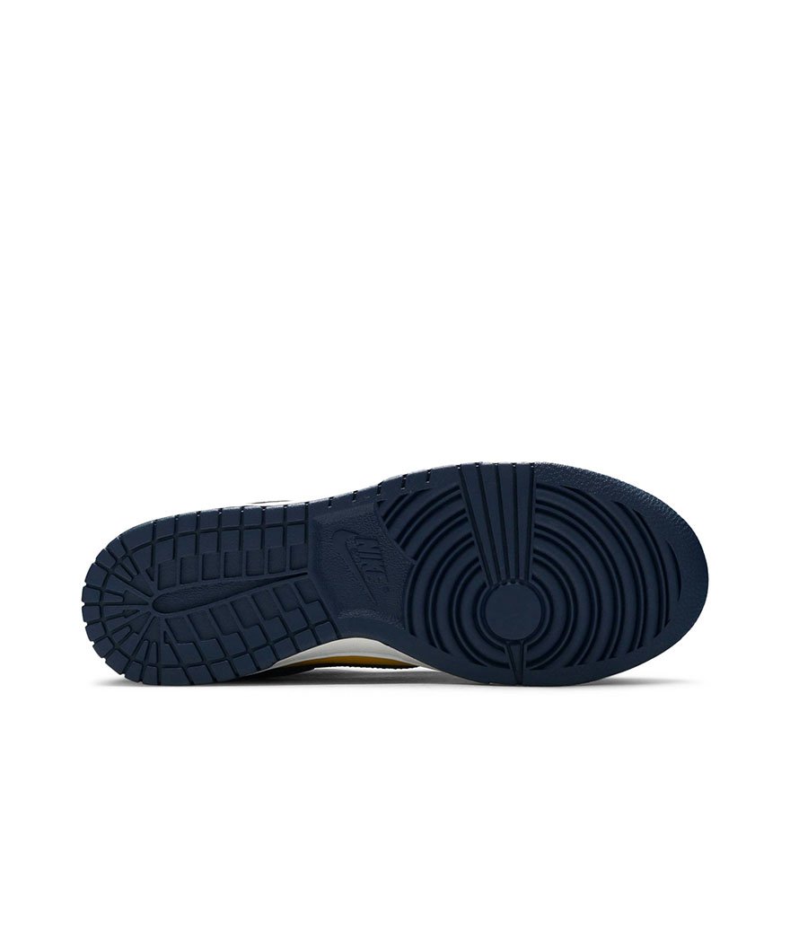 Dunk Low Michigan 2021,SB DUNK LOW,SB DUNK,NIKE SHOES