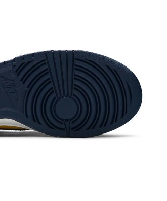 Dunk Low Michigan 2021,SB DUNK LOW,SB DUNK,NIKE SHOES