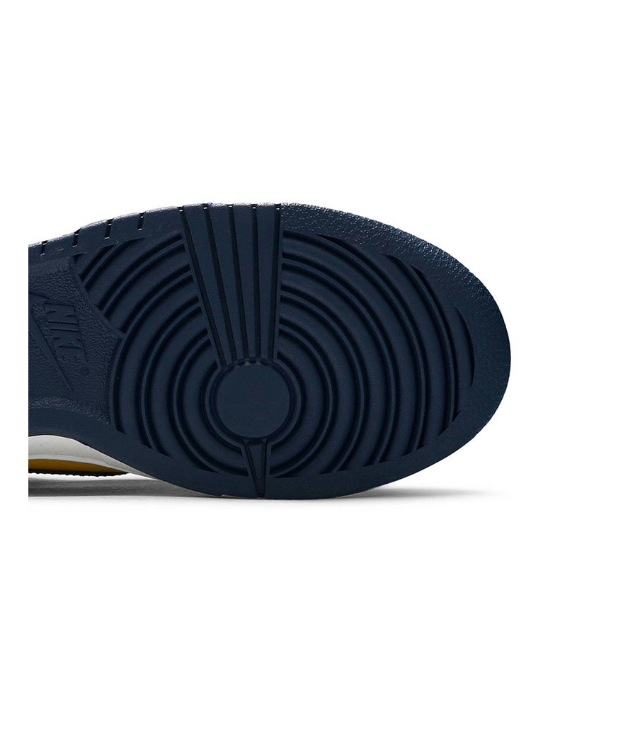 Dunk Low Michigan 2021,SB DUNK LOW,SB DUNK,NIKE SHOES