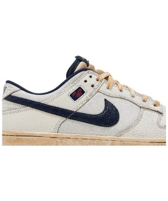 Stranger Things X Nike Dunk Low Phantom,SB DUNK LOW,SB DUNK,NIKE SHOES