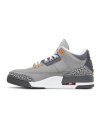 Air Jordan 3 Retro Cool Grey 2021,Air Jordan 3,AIR JORDAN