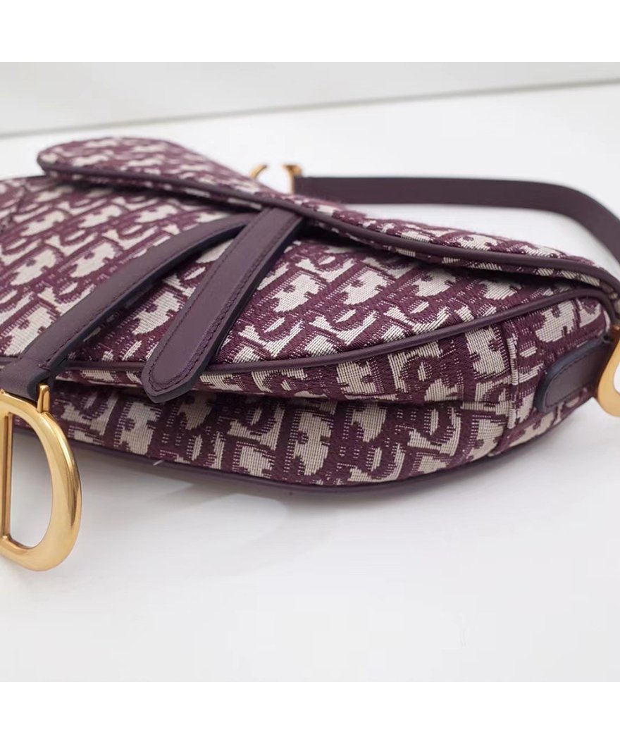 Christian Dior Bags D53150,Christian Dior Bags